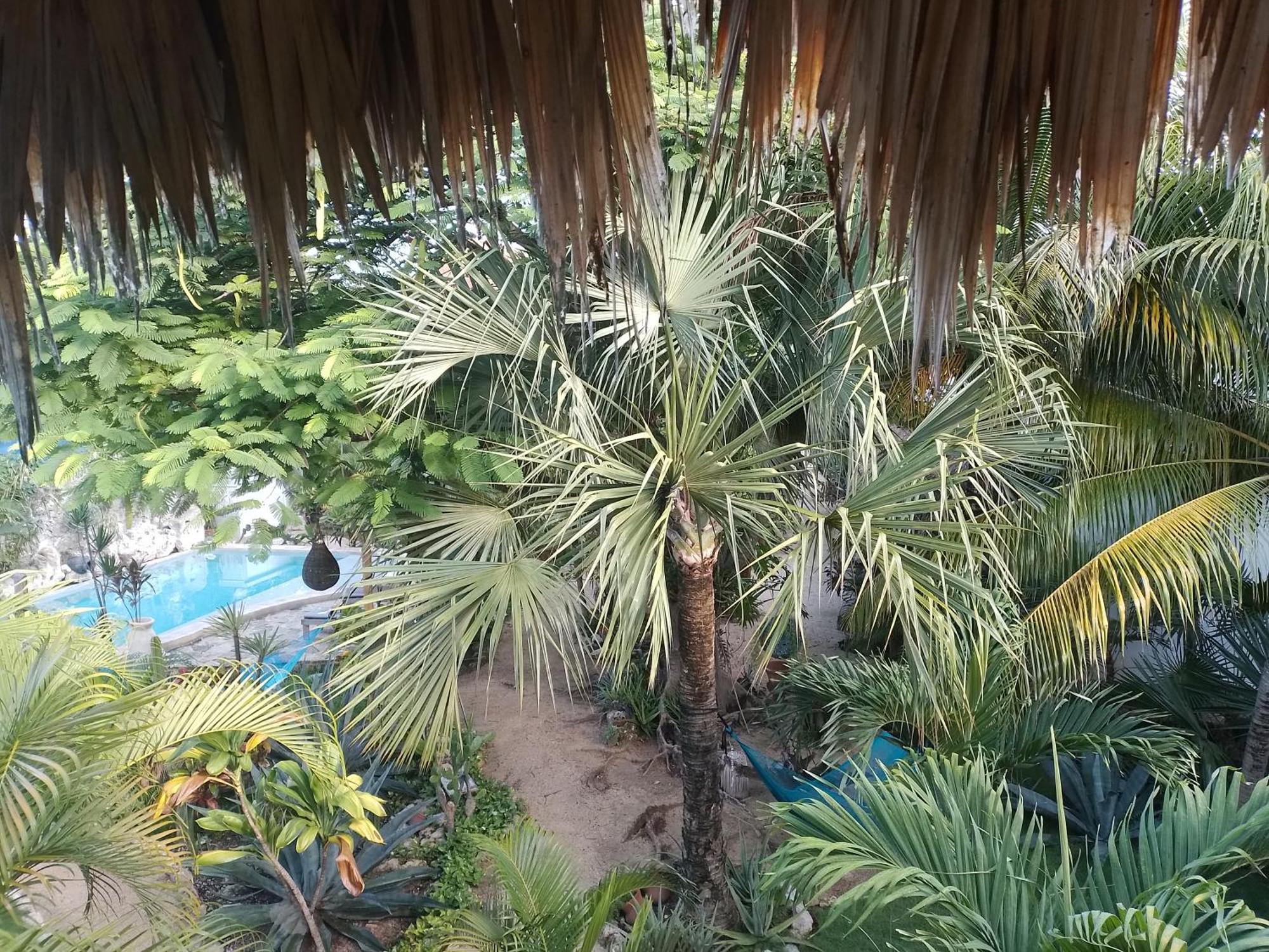 Zamunda Garden View 호텔 툴룸 외부 사진