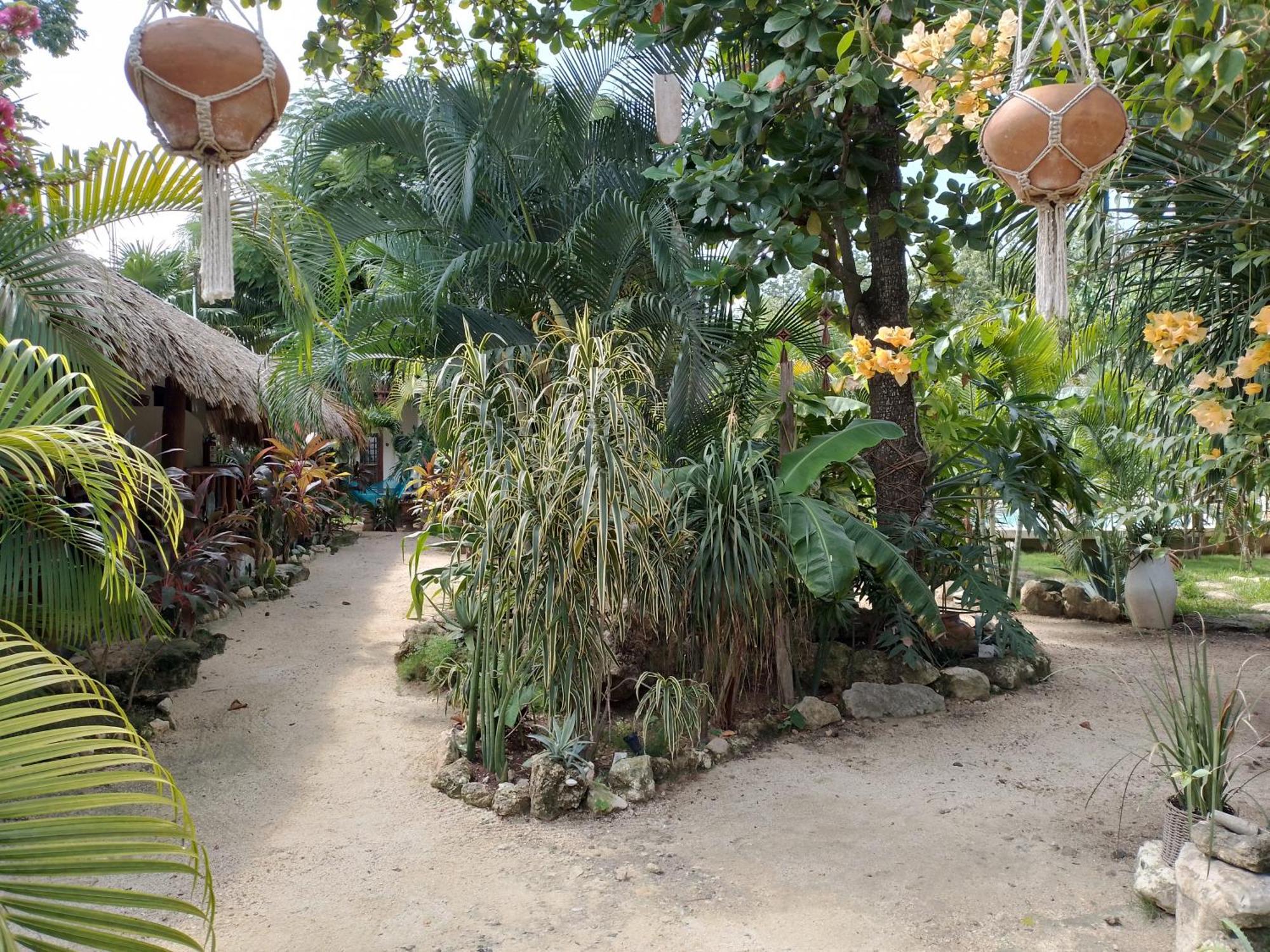 Zamunda Garden View 호텔 툴룸 외부 사진