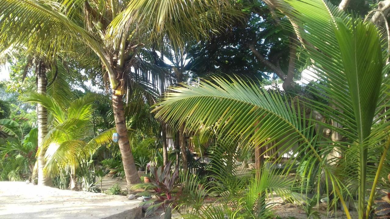 Zamunda Garden View 호텔 툴룸 외부 사진